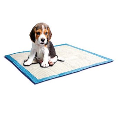 Pa&ntilde;ales Entrenadores Perro 15pzs 58x56cm Puppy Trainer Sunny