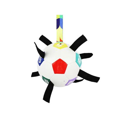Pelota Interactiva Para Mascota Color Negro