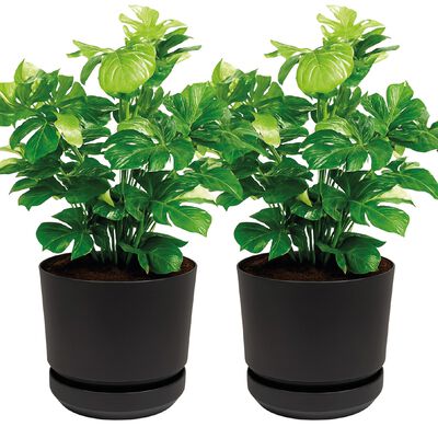 Maceta Elly Decor Set De 2 Para Interior y Exterior Con Plato y Drenaje 12 Pulgadas Negro