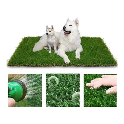 Tapete Entrenador Pasto Perro Transpirable Y Lavable 46x71cm Mlaubero