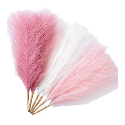 Pampas Secas Rosa Blanco 6psc Plantas Decorativas
