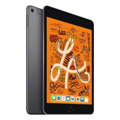 Apple iPad Mini 7.9 5 Gen 64GB Gris Reacondicionado