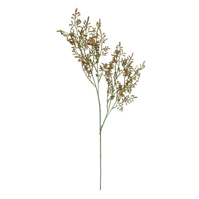 Follaje Lovergrass GAF