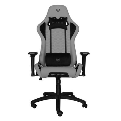 Silla Gamer Thunder V2 Gris