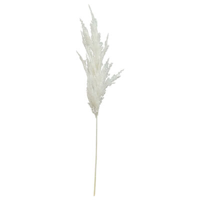Pampas Spray Cream Vintage Home