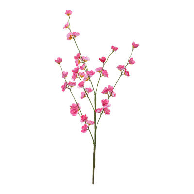 Cerezo Rama Artificial Concepts